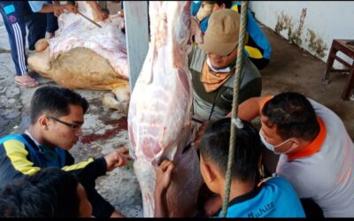 Perayaan Idul Adha 1441 H